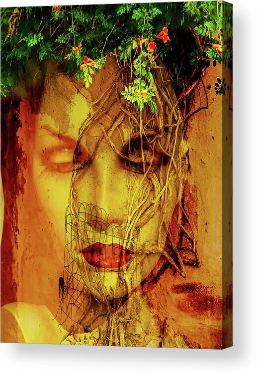Face Acrylic Print featuring the photograph The face and the tree by Gabi Hampe