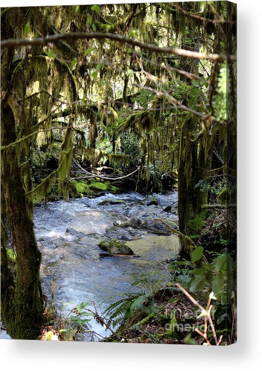 Green Acrylic Print featuring the photograph The Green Seen by Marie Neder