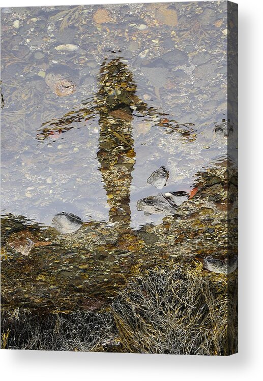 Richard Reeve Acrylic Print featuring the photograph The Mermaid by Richard Reeve