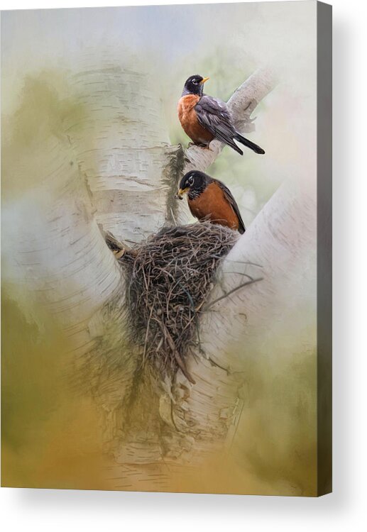 Birds Acrylic Print featuring the photograph The Nest by Robin-Lee Vieira