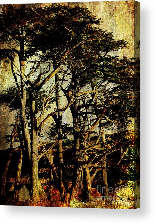 Grove Acrylic Print featuring the photograph The Old Grove . texture by Wingsdomain Art and Photography