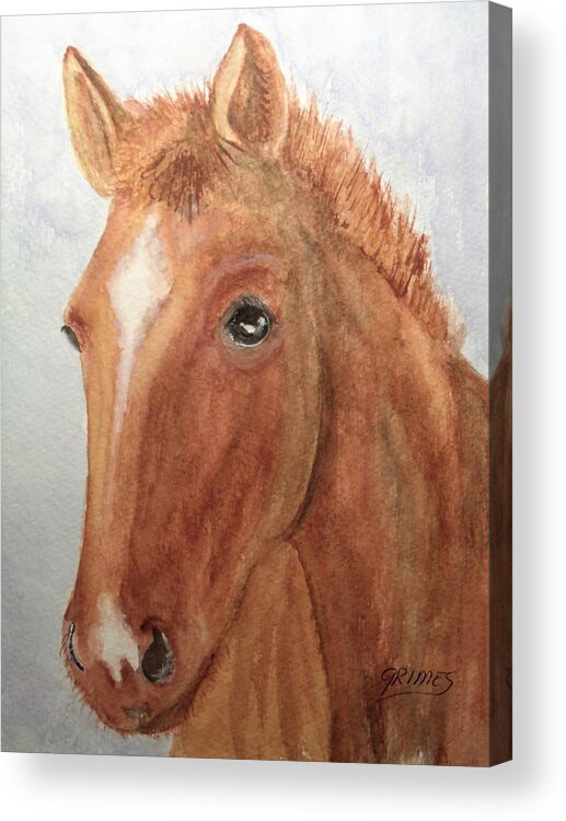 Horse Acrylic Print featuring the painting The Red Pony by Carol Grimes