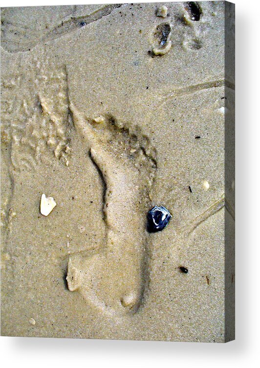 Beach Acrylic Print featuring the photograph Traces by Mary Sullivan