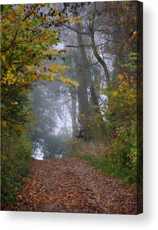 Landscape Acrylic Print featuring the photograph Trail in Morning Mist by Paul Ross