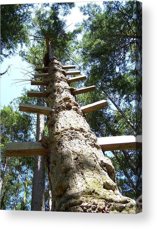 Ladder/ Tree Acrylic Print featuring the photograph Tree Ladder by Gene Ritchhart
