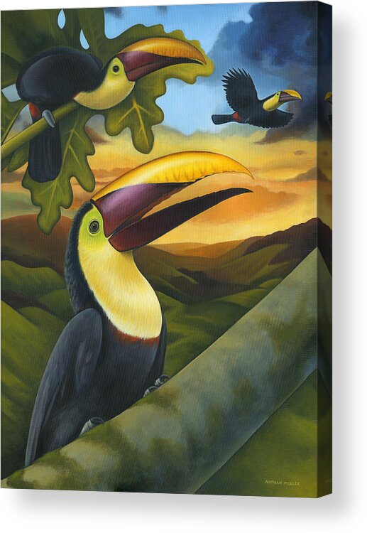 Toucans Acrylic Print featuring the painting Treetop Toucans by Nathan Miller