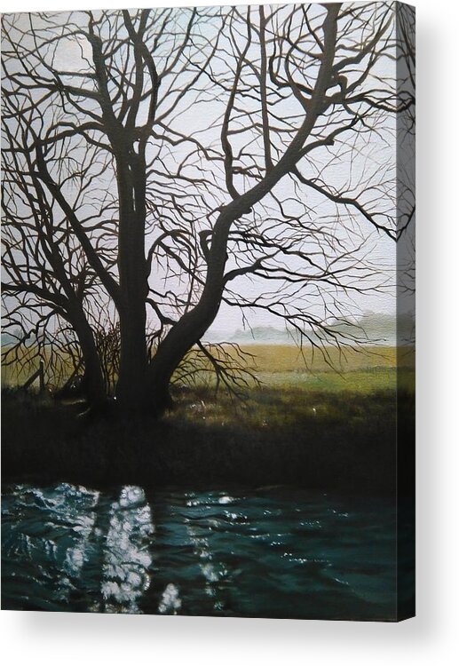 Tree Acrylic Print featuring the painting Trent Side Tree. by Caroline Philp