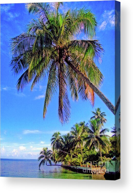 Tree Acrylic Print featuring the photograph Tropical Palms by Sue Melvin