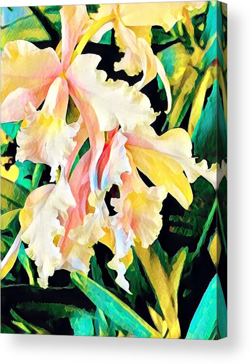 #flowersofaloha #orchids Acrylic Print featuring the photograph Two Orchids Pink Turquoise by Joalene Young