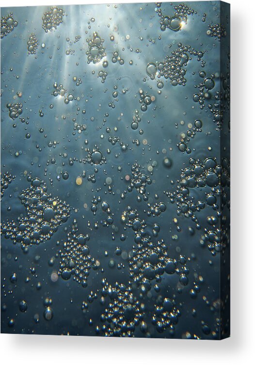 Bubbles Acrylic Print featuring the photograph Underwater Bubbles by Christopher Johnson