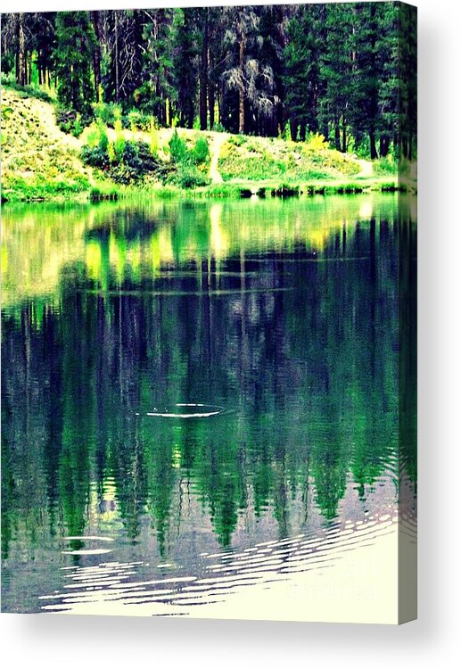  Unseen Trout Make Rings In The Water As They Feed On Tiny Flyers. Reflections From The Forest Make This Beauftiful And Calming. Seargent's Lake Off I-70 North Of Frisco Colorado Acrylic Print featuring the digital art Unseen Trout Makes Rings In The Water by Annie Gibbons