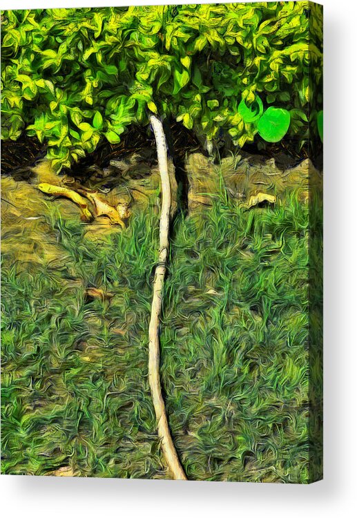 Water Pipe Acrylic Print featuring the photograph Water pipe in a garden by Ashish Agarwal