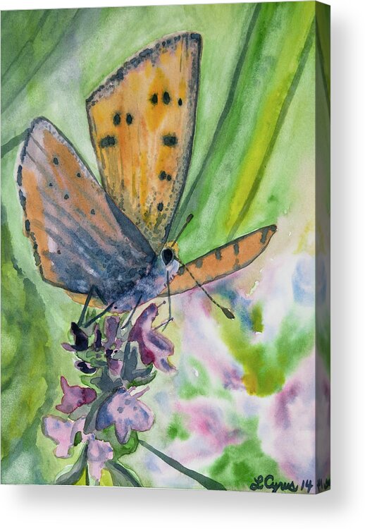 Butterfly Acrylic Print featuring the painting Watercolor - Small Butterfly on a Flower by Cascade Colors