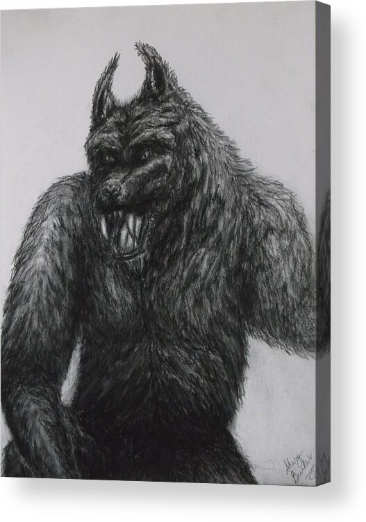 Pencil Drawings Of Werewolf Acrylic Print featuring the drawing Werewolf by Sherry Bunker