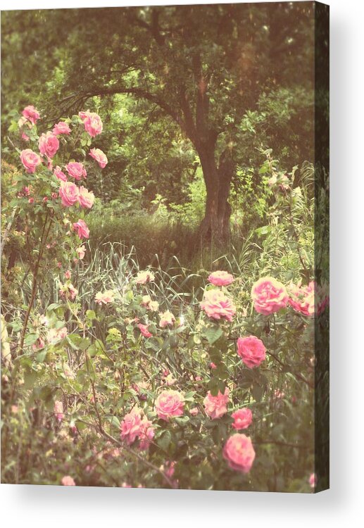 Rose Garden Acrylic Print featuring the photograph Where Our Dreams Take Us by Mary Wolf