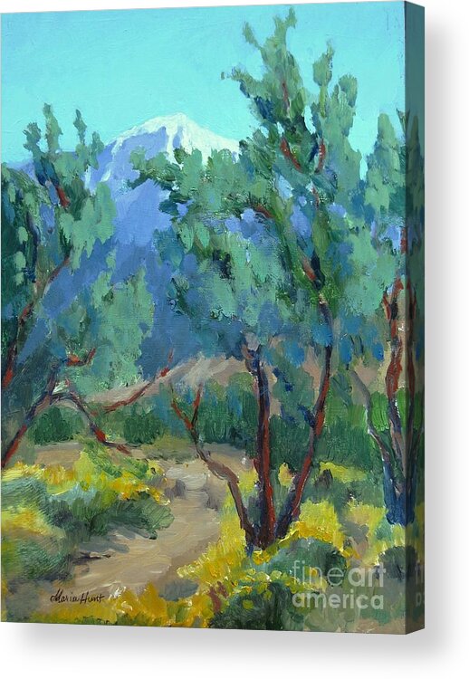 Landscape Acrylic Print featuring the painting Whitewater Preserve Palm Springs by Maria Hunt
