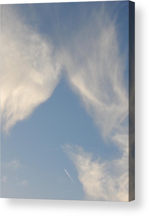 Nature Acrylic Print featuring the photograph Wings by Gallery Of Hope 