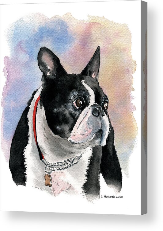 Dog Acrylic Print featuring the painting Winnipeg Teddy by Louise Howarth