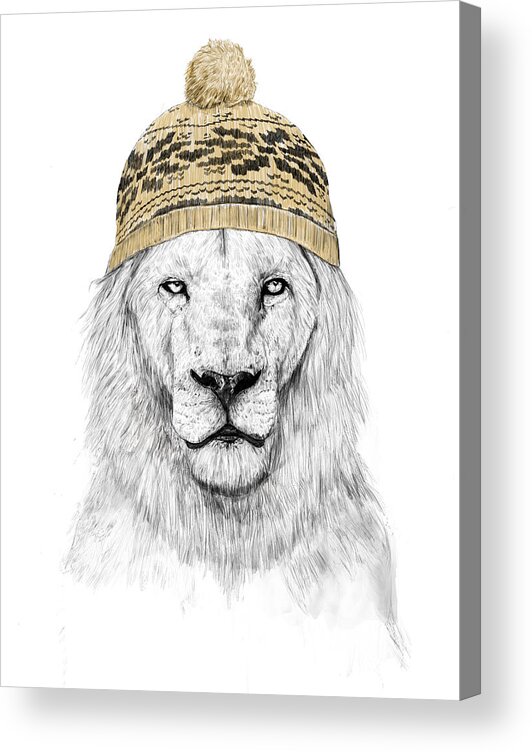 Lion Acrylic Print featuring the drawing Winter lion by Balazs Solti