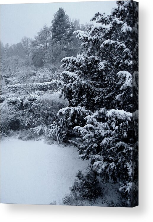 Winter Acrylic Print featuring the photograph Winter by Roberto Alamino