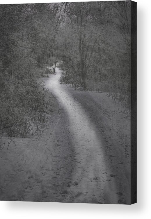 Hoar Frost Acrylic Print featuring the photograph Winter Trail 2016-2 by Thomas Young