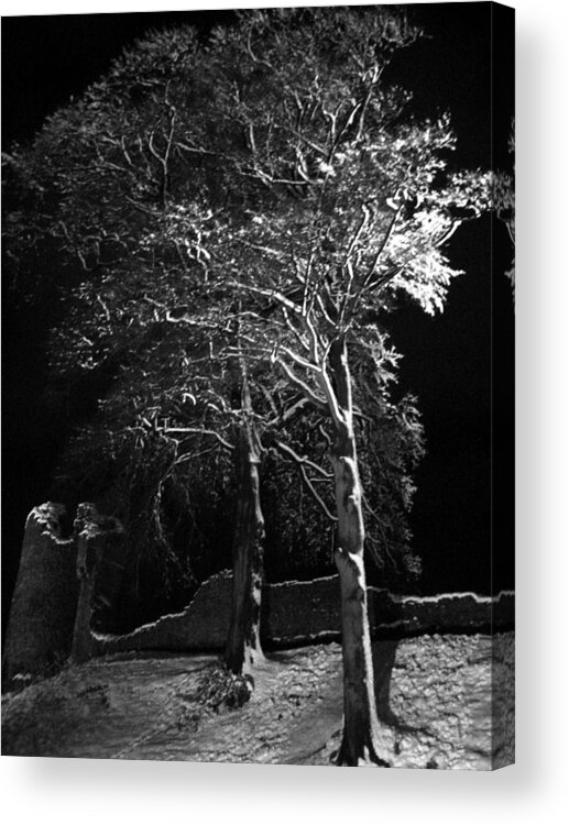 Winter Acrylic Print featuring the photograph Winter tree at night by Lukasz Ryszka