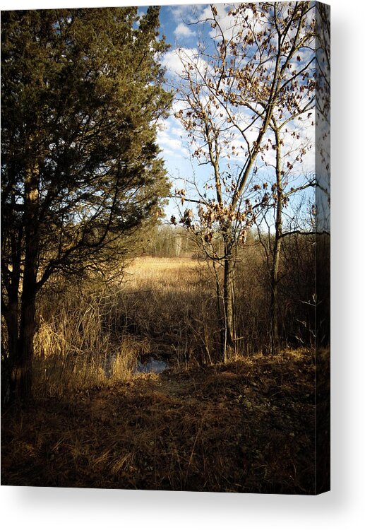  Acrylic Print featuring the photograph Woodland View by Kimberly Mackowski