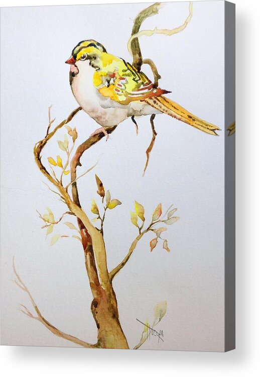 Birds Acrylic Print featuring the painting Yellow Bird by Mary Scott