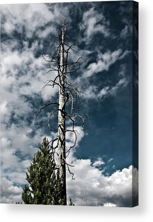 Sky Acrylic Print featuring the photograph Yellowstone Sky by Mary Capriole