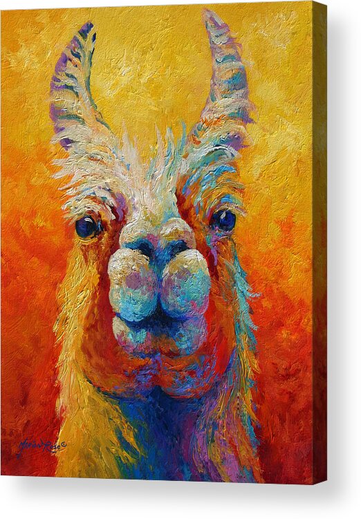 Llama Acrylic Print featuring the painting You Lookin At Me by Marion Rose