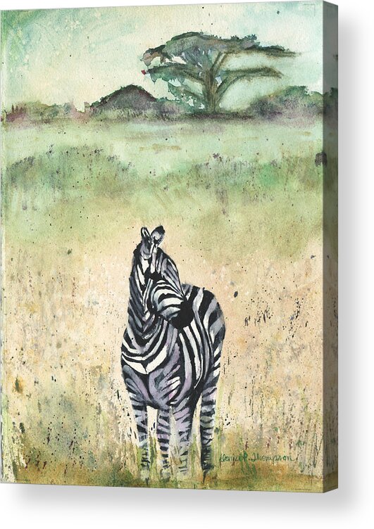Zebra Acrylic Print featuring the painting Zebra by Denice Palanuk Wilson