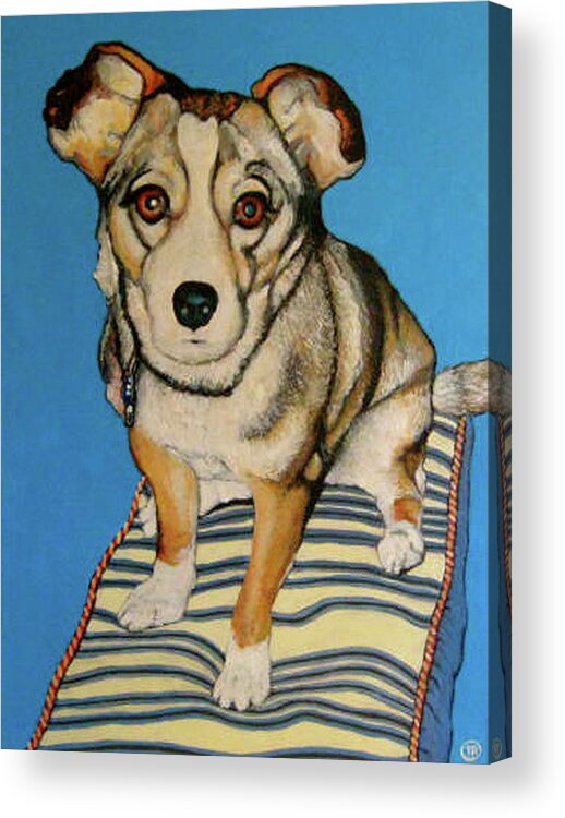 Pet Portrait Acrylic Print featuring the painting Ziggy by Tom Roderick