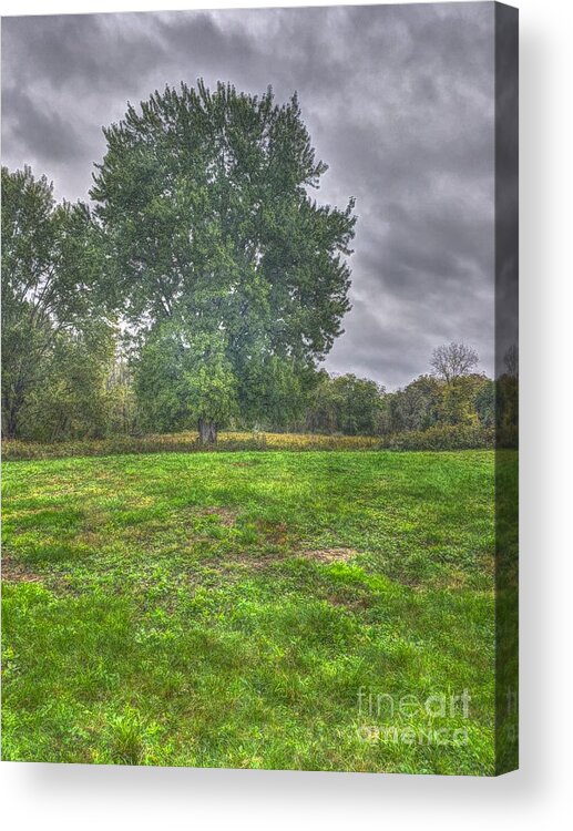 Tree Acrylic Print featuring the photograph Blacklick Circle Earthwork #1 by Jeremy Lankford