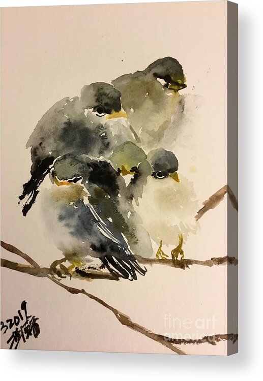 A Group Of Resting Birds Cuddling Together Acrylic Print featuring the painting 1062019 by Han in Huang wong