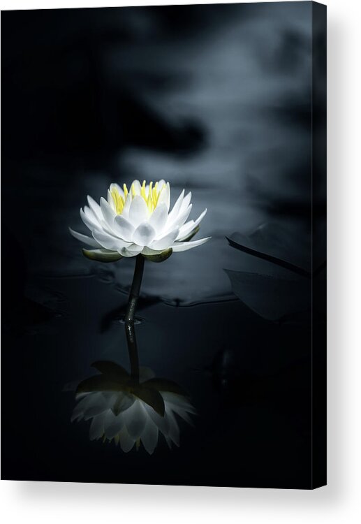 Zen Acrylic Print featuring the photograph Reflection #2 by Takashi Suzuki