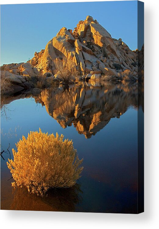 Barker Lake Acrylic Print featuring the photograph USA, California, Joshua Tree National #2 by Charles Gurche