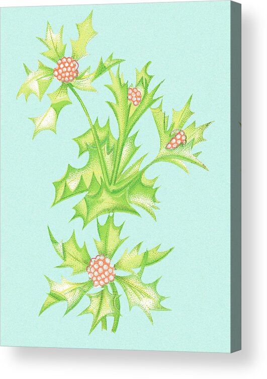 Berry Acrylic Print featuring the drawing Flowers #29 by CSA Images
