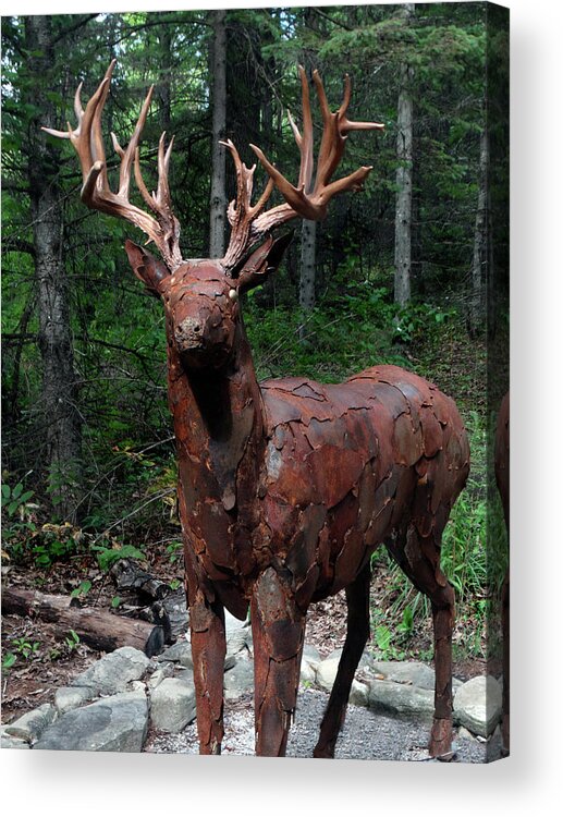 Edgewood Orchard Gallery Acrylic Print featuring the photograph 30-Point Buck Statue by David T Wilkinson
