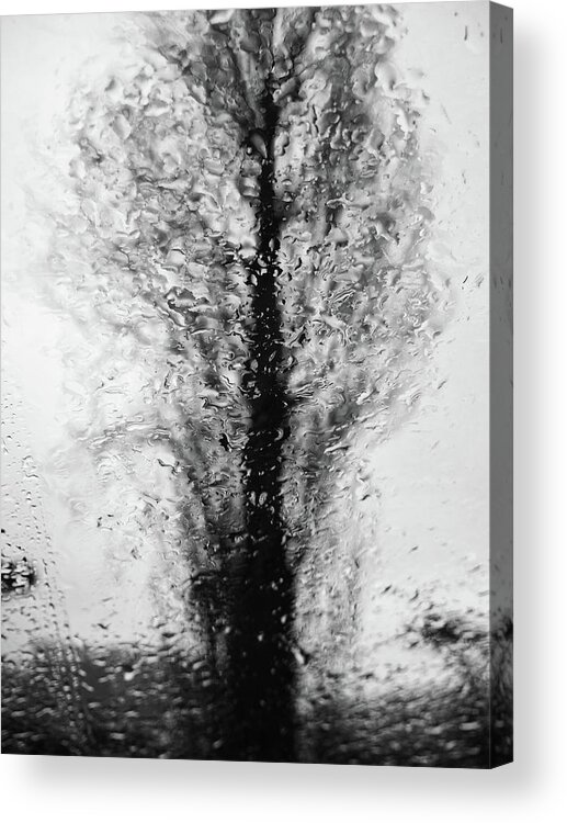 Rain Acrylic Print featuring the photograph Abstract tree by Paulo Goncalves