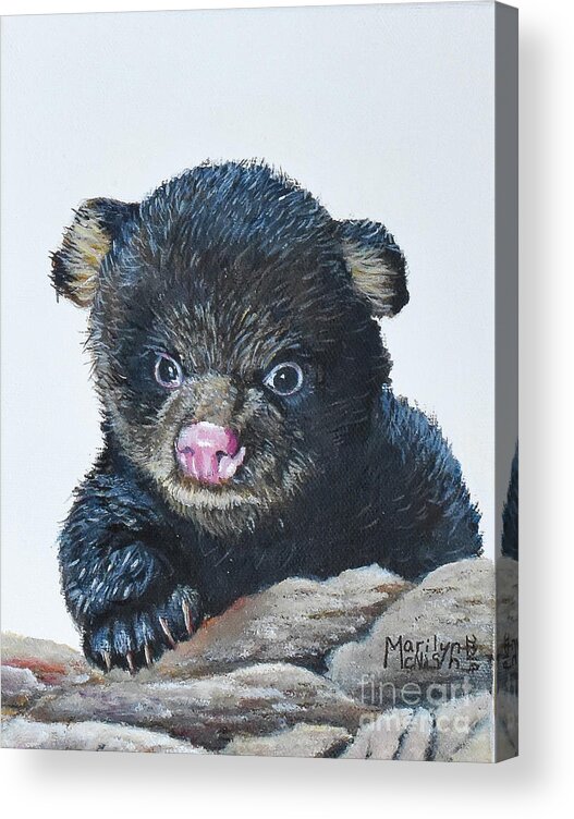 Omnivorous Acrylic Print featuring the painting Baby Bear by Marilyn McNish