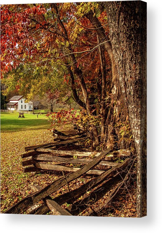 Cades Cove Acrylic Print featuring the photograph Becky Cable Fall Vertical View by Marcy Wielfaert
