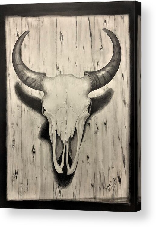 Bison Skull Acrylic Print featuring the drawing Bison Skull by Gregory Lee