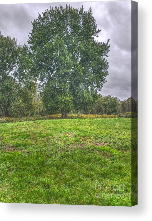 Nature Acrylic Print featuring the photograph Blacklick Circle Earthwork by Jeremy Lankford