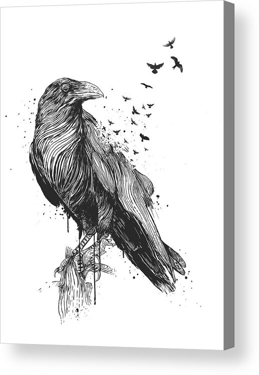 Bird Acrylic Print featuring the drawing Born to be free by Balazs Solti