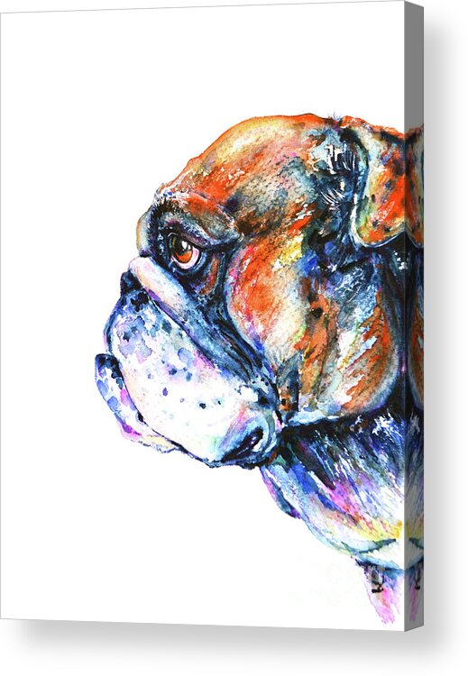 Bulldog Acrylic Print featuring the painting Bulldog by Zaira Dzhaubaeva