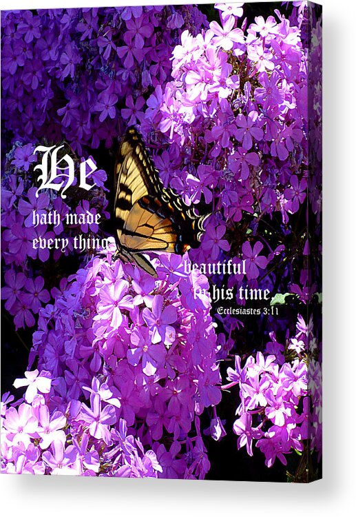 Eastern Tiger Swallowtail Acrylic Print featuring the photograph Butterfly and Phlox with Ecclesiastes 3 vs 11 by Mike McBrayer