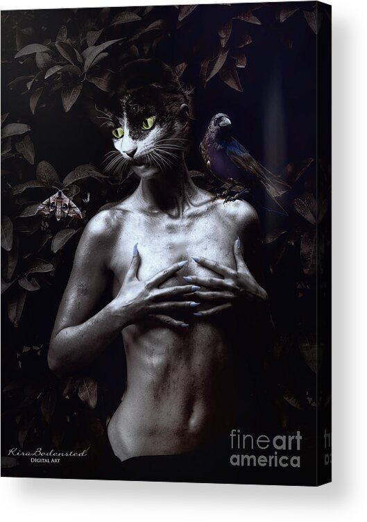Cat Acrylic Print featuring the photograph Catwoman by Kira Bodensted