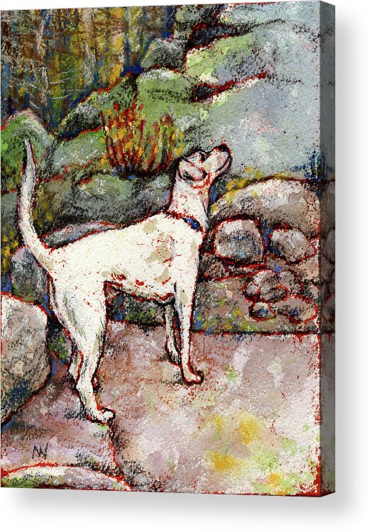 Dog Acrylic Print featuring the mixed media Coco in Chamonix by AnneMarie Welsh