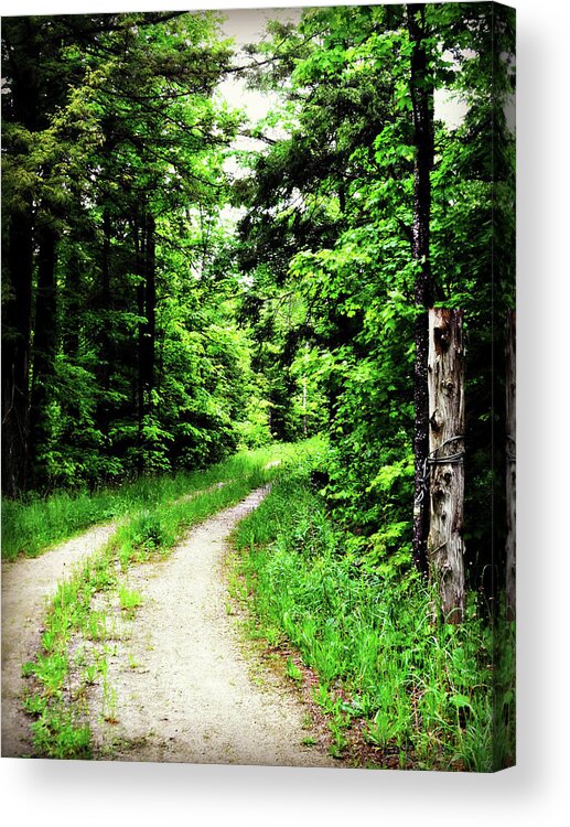 Country Curves Acrylic Print featuring the photograph Country Curves by Cyryn Fyrcyd