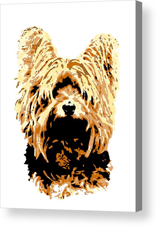 Dog Acrylic Print featuring the digital art Dog 147 Yorkshire by Lucie Dumas